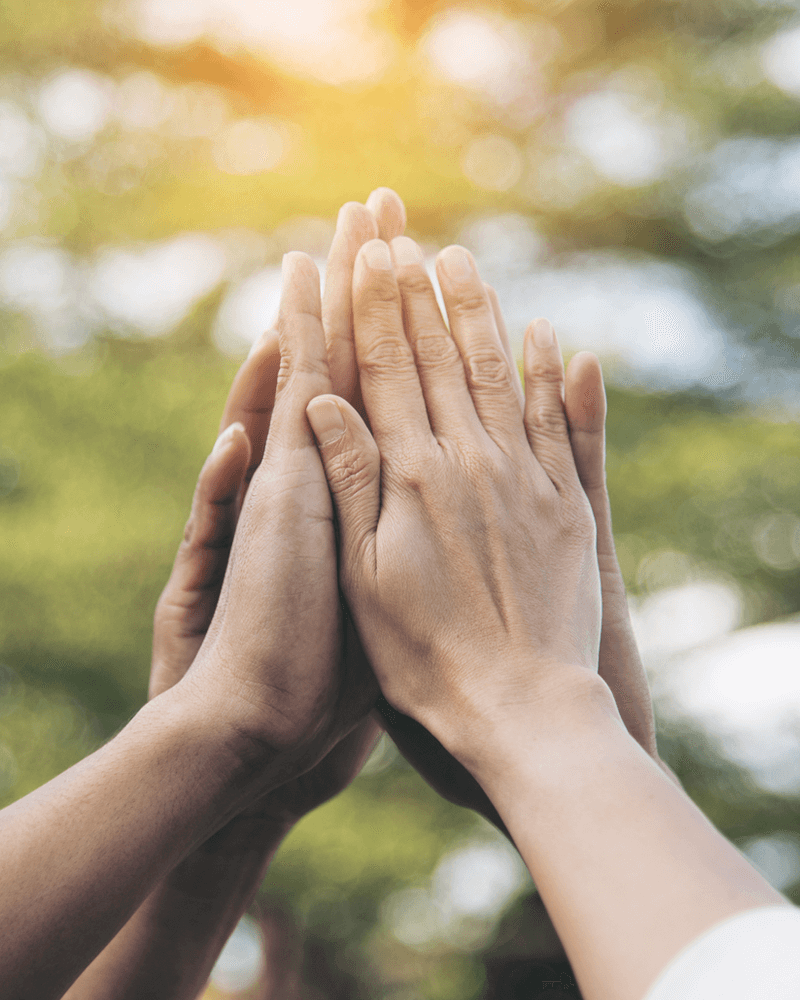 キツタカのミッション