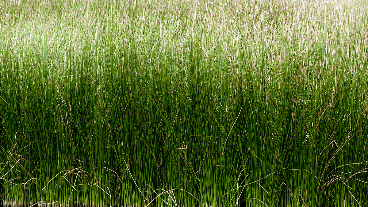 商品へのこだわりその2 厳選された素材